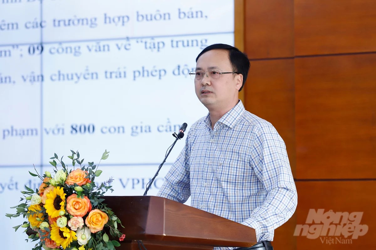Để phát triển chăn nuôi lợn bền vững, cần chấn chỉnh công tác thú y tuyến huyện, xã